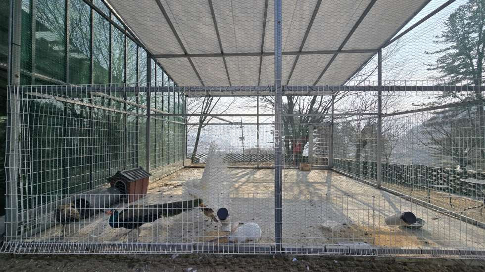 경기 가평군 상면 행현리 (가평 카페매매) 아침고요수목원인근 식물원 카페 매물 매매 매물번호 10005 사진 5