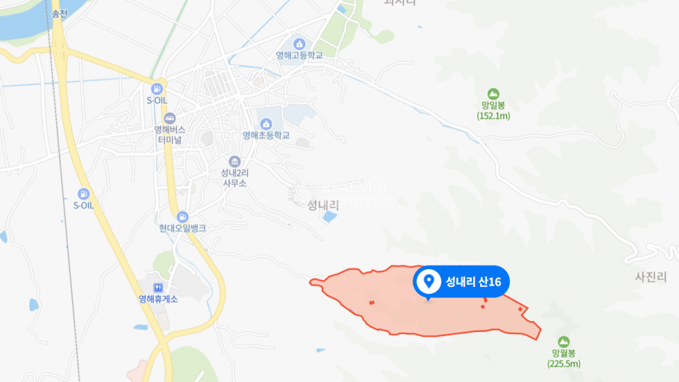 경북 영덕군 영해면 성내리 (영덕토지매매) 경북 영덕군 영해면 동해안 개발가능토지 매매 매매 매물번호 10206 사진 2
